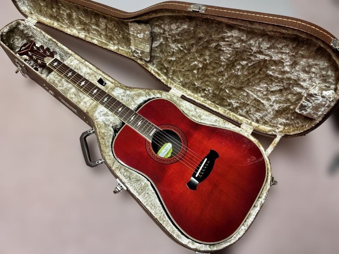 ☆超極上単板トップ！エレアコの先駆者 モーリス トルネードXX 超激鳴