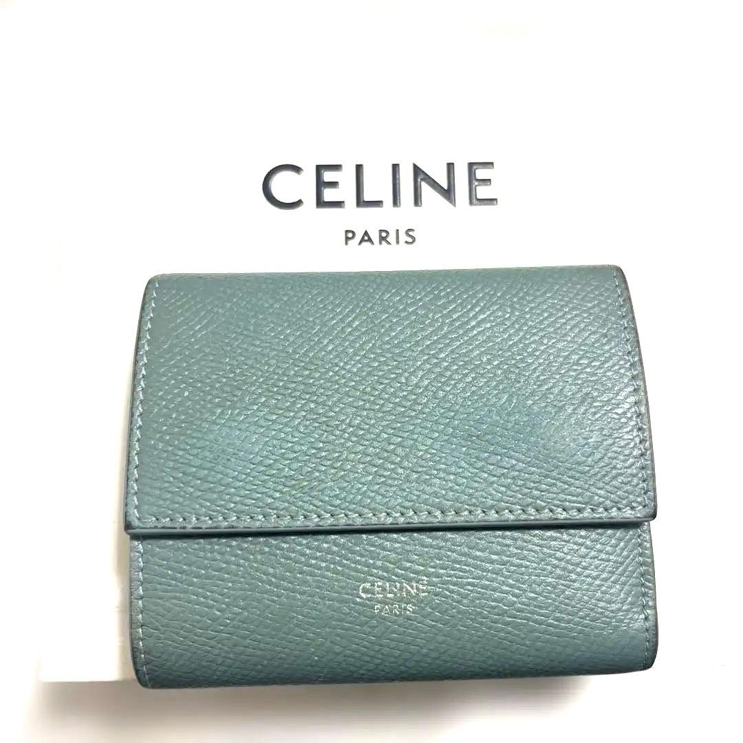 タカラガイ 貝殻 Histrio Rusty 貝殻 タカラガイ Histrio Rusty 貝殻の