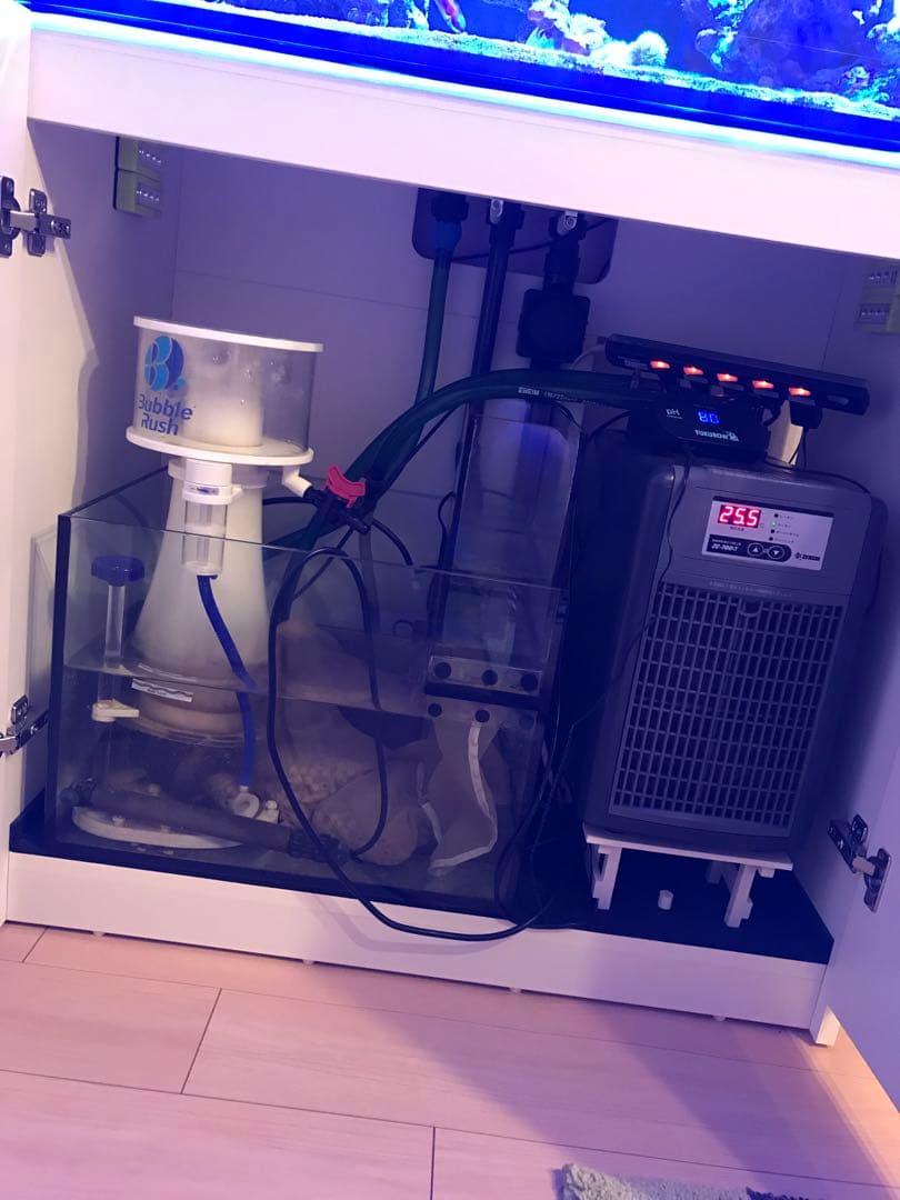 レッドシー、リーファ250、AIプライム、バブルラッシュ、クーラー