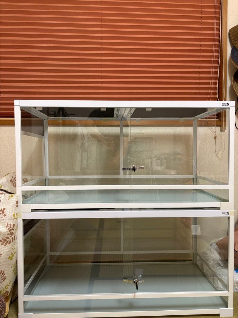 温室・飼育ケース non 温室・飼育ケース non 観察しやすい飼育ケース 小 | 昆虫用品・昆虫