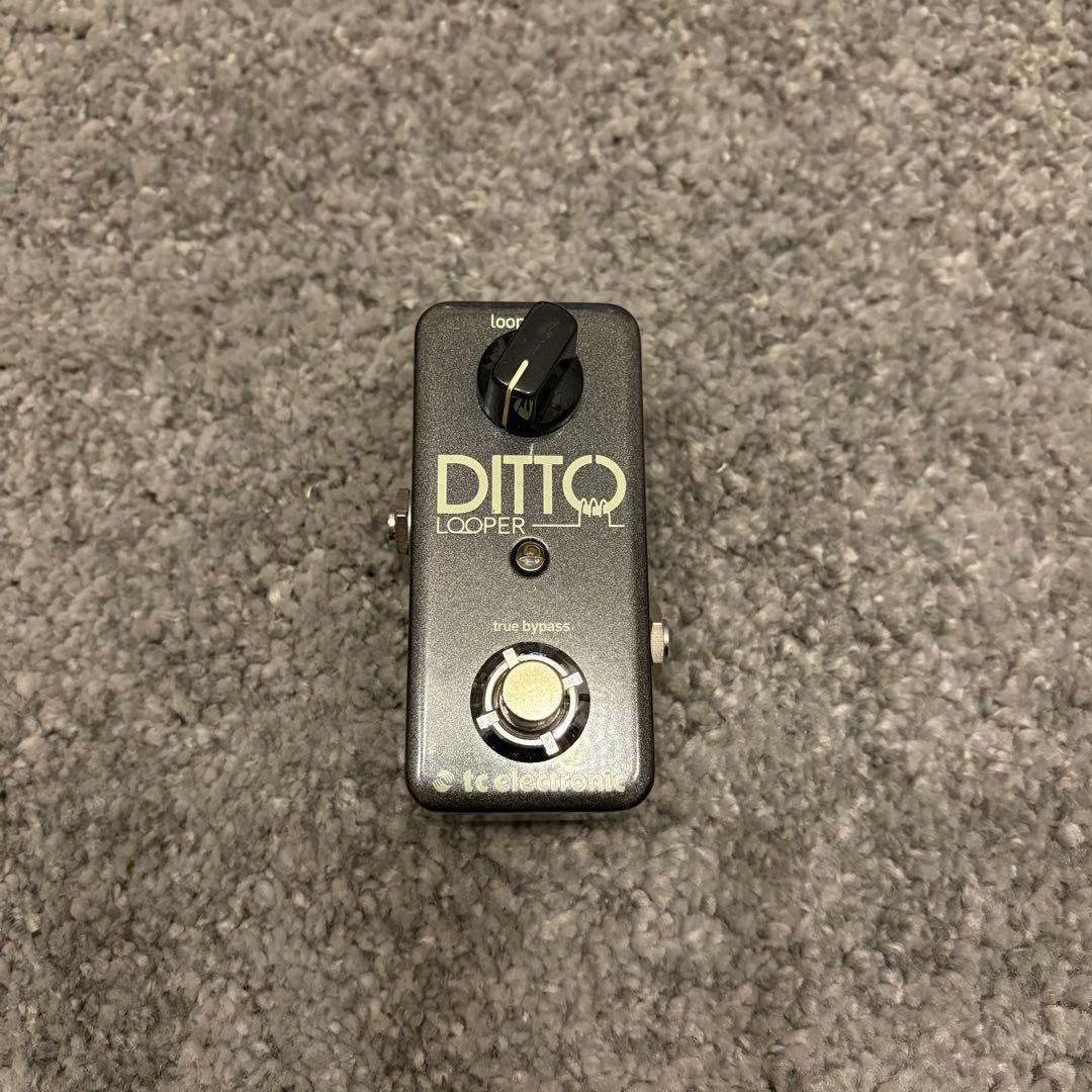 DITTO LOOPER tc electronics エフェクター ルーパー