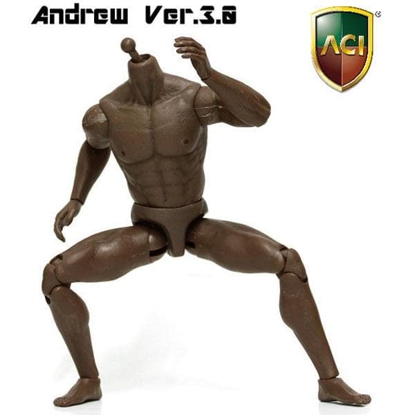 その他 ACI TOYS 1/6 BODY SERIES ANDREW