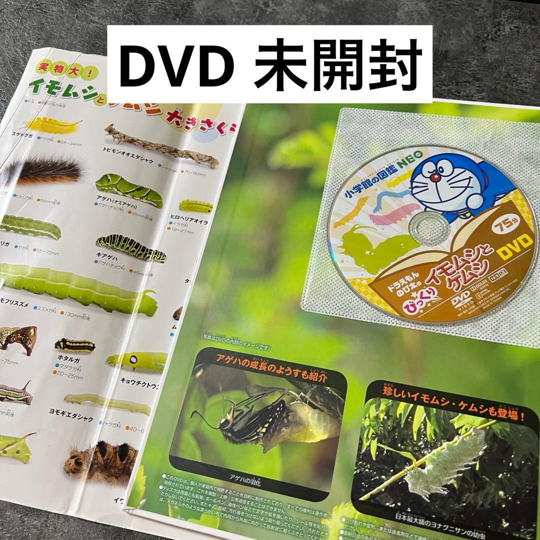 本日まで❗️】小学館 図鑑 NEO 14冊セット DVD未開封・下敷やマップ付
