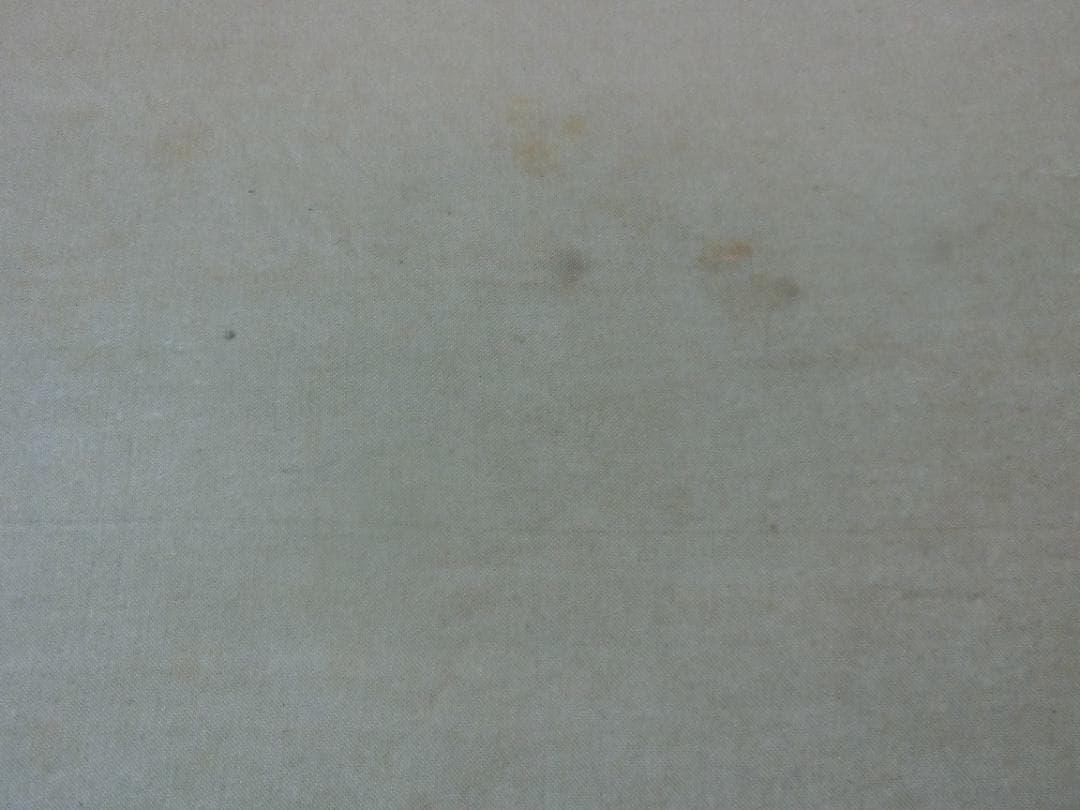 雅泉 鯉① 日本画 掛け軸