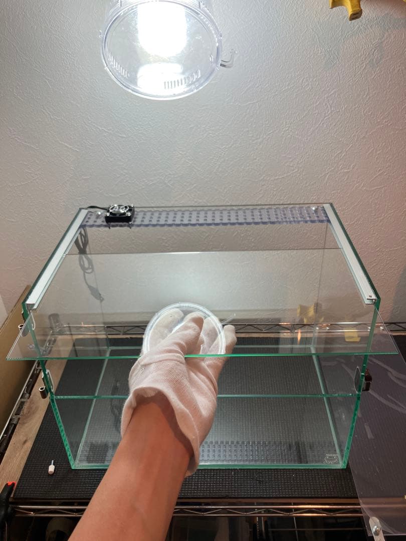 アクアサイダーの40cm水槽 イモリウム、パルダリウム、アクアテラリウム用