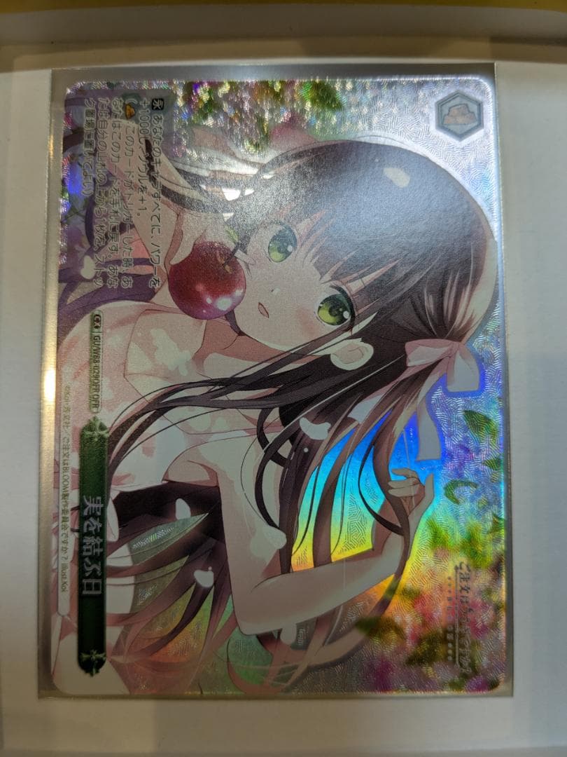 ご注文はうさぎですか？ BLOOM OFR 10枚 新裁断