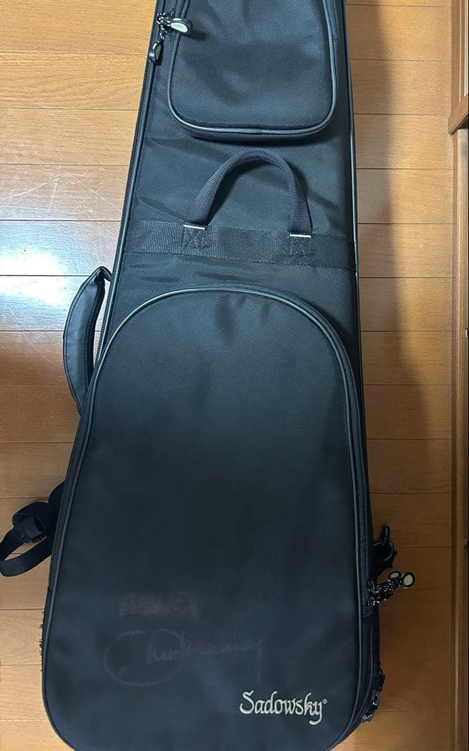 Epiphone エピフォン　Les Paul ES PRO