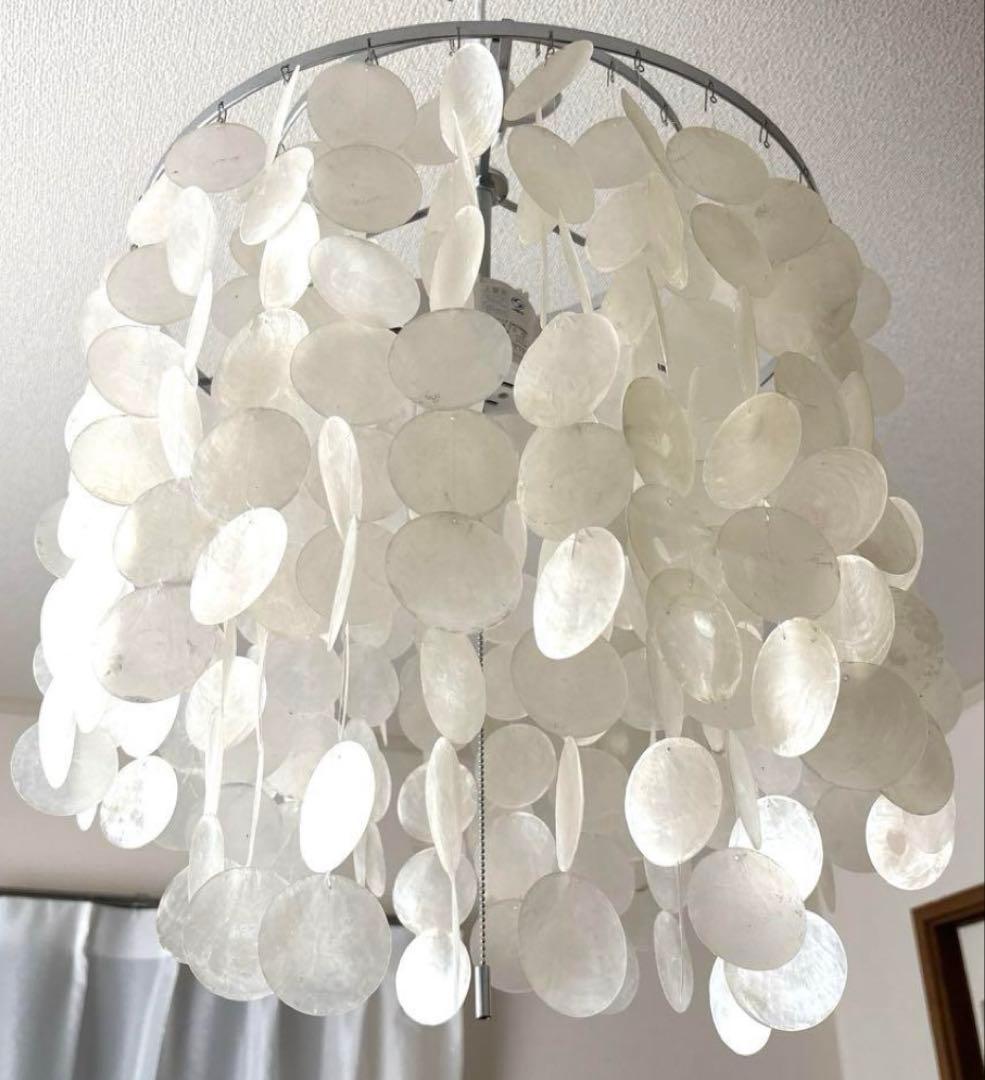 値下げ　ハモサ　カマクラ hamosa 貝殻　シェル照明　ライト クリアランス ハモサ カマクラ hamosa 貝殻 シェル照明 ライト 値下げ