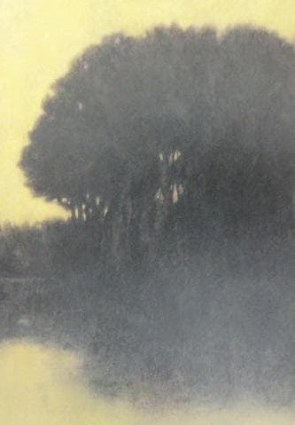 鈴木竹柏、【燦燦】、希少な額装用画集より、新品額装付