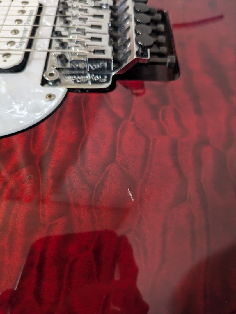 edwards snapper　E-SN-145FR