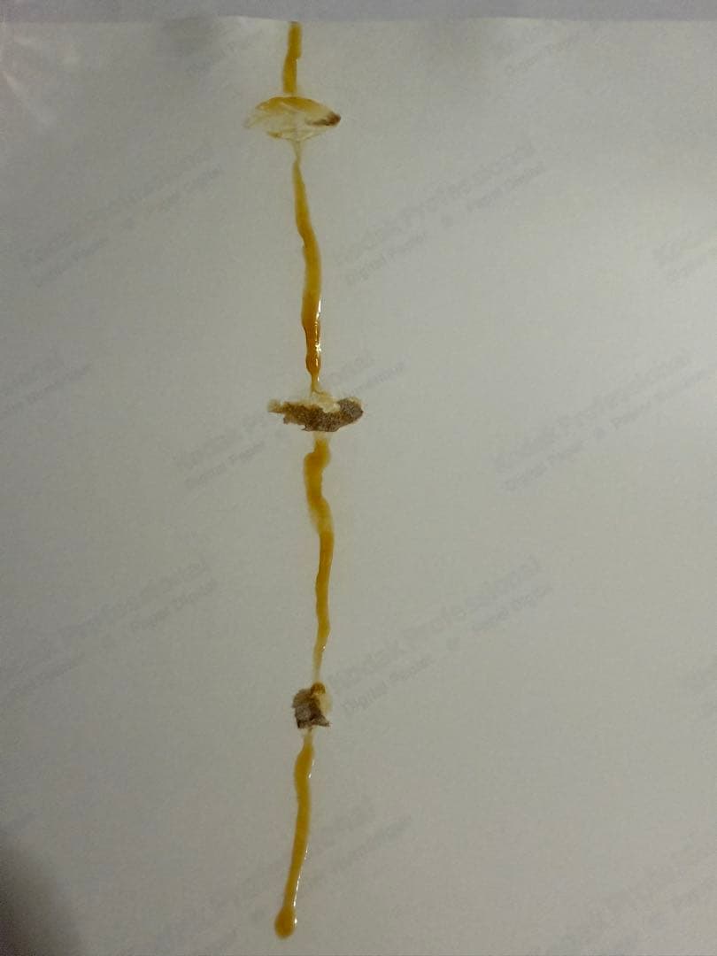 荻野可鈴ポスター【くじ抽選当選品】【本人直筆サイン入り】【在庫1点限り】非売品