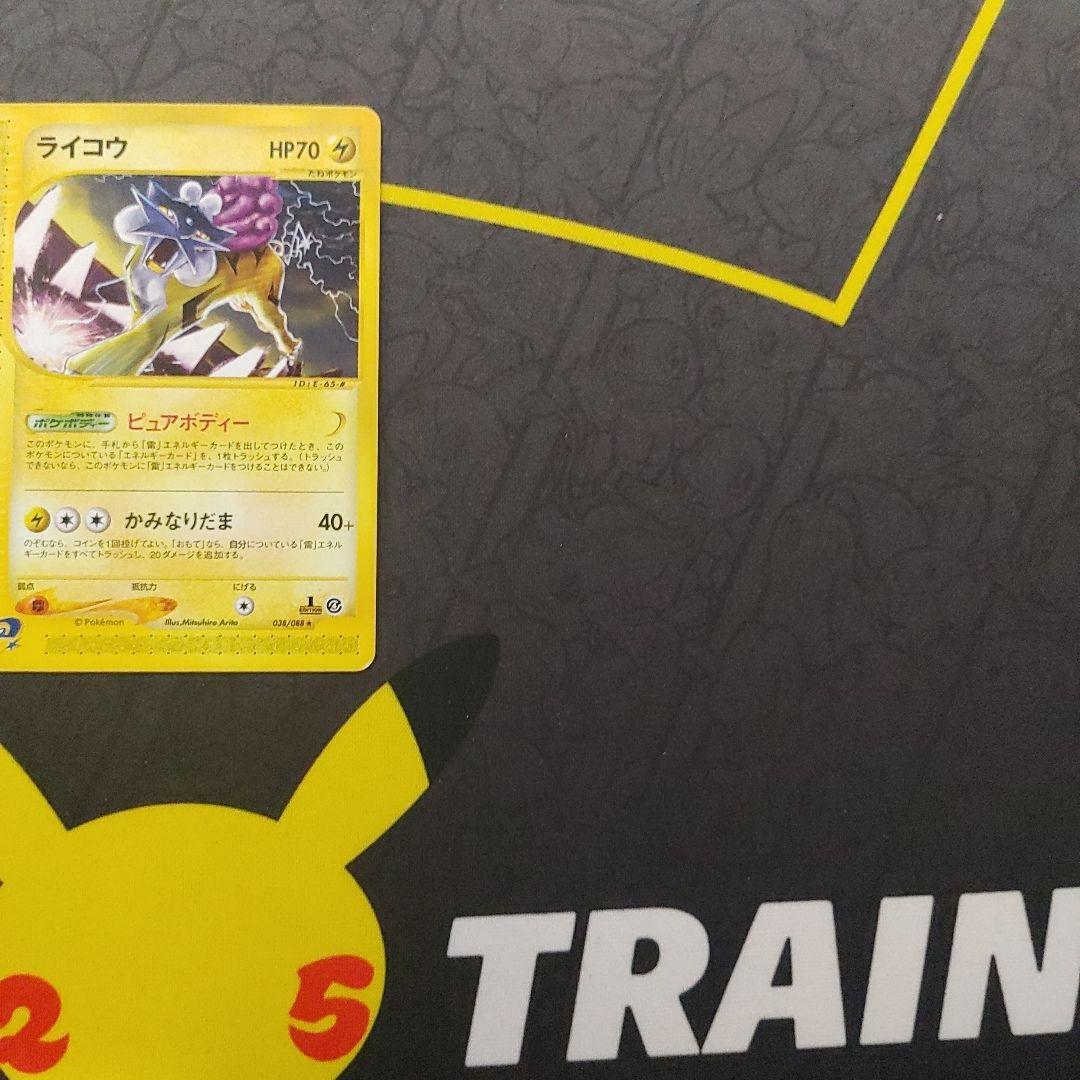 ライコウ カードe ピュアボディ - メルカリ