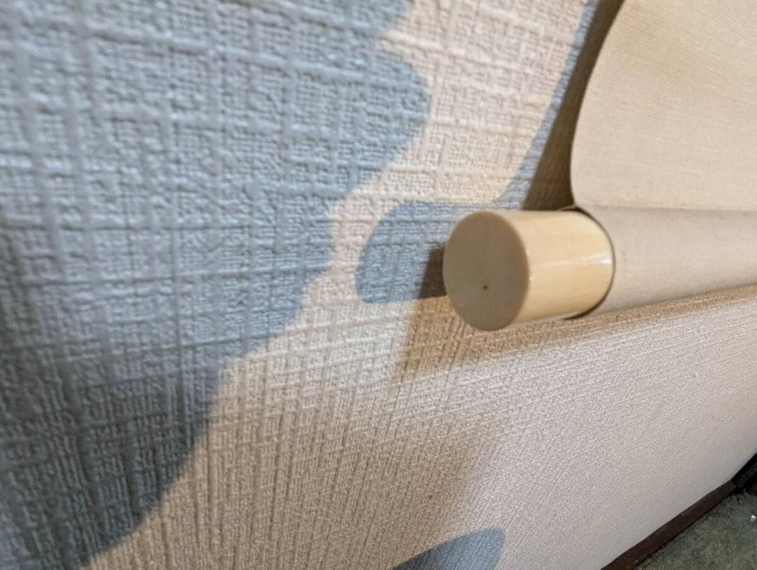 真作】掛軸 高橋周桑 白牡丹 静寂の美 花鳥画 名品 二重箱入 R148