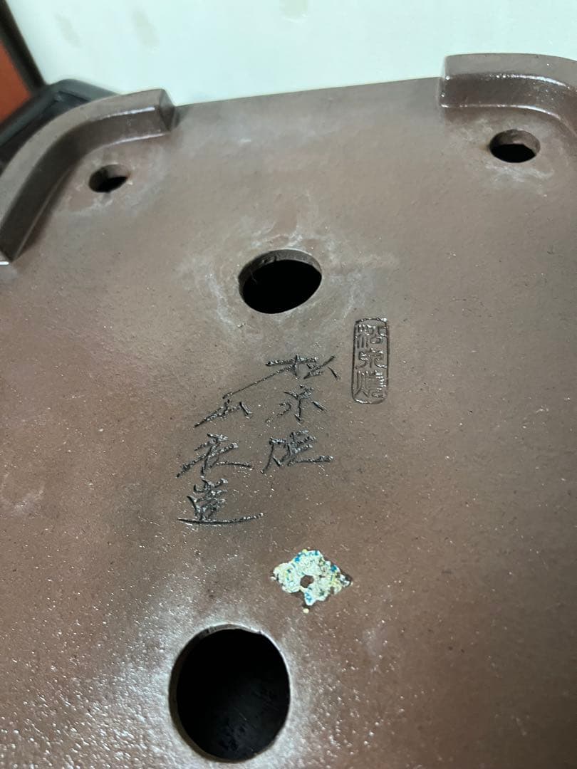 464 盆栽　盆栽鉢　植木鉢　和鉢　山秋