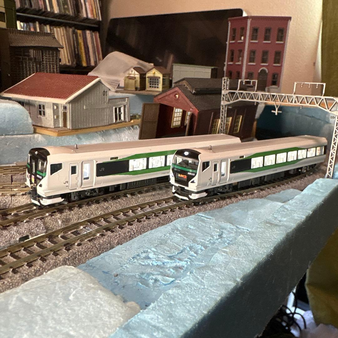 KATO E257系5000番台 9両セット 中古美品 室内灯付 JR東日本