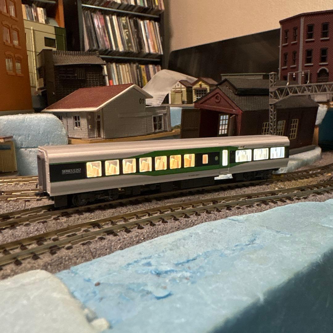 KATO E257系5000番台 9両セット 中古美品 室内灯付 JR東日本