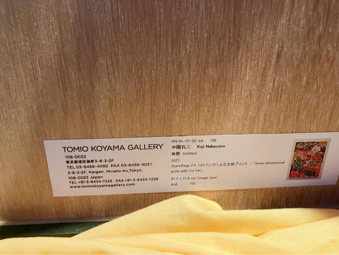 中園孔二 マルチプル作品　Koji Nakazono 50部限定