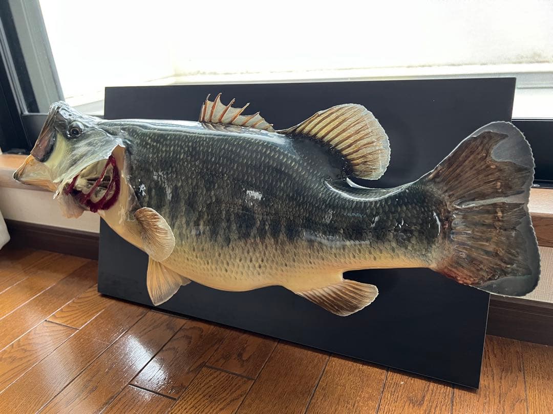 ブラックバス剥製インテリア壁掛けタイプ