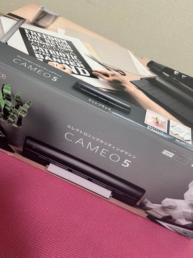 【エコメルカリ便限定】シルエットカメオ5本体