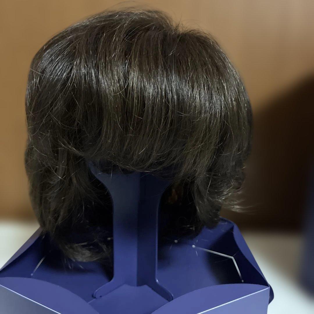 フォンテーヌ　VDBG. F4M6 ショートボブウィッグ