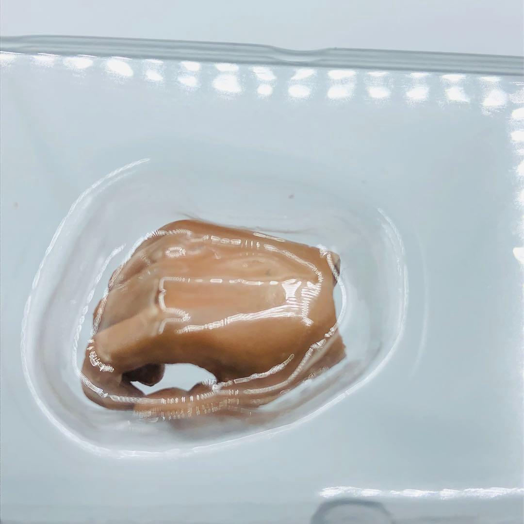 SF・ファンタジー・ホラー SIXTHVISION BONEHEAD TEST SUBJECT GLITCH