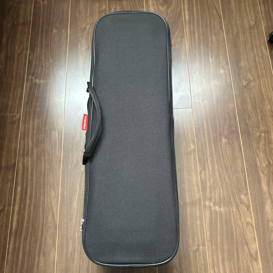 PLAYTECH PVN544 アウトフィットバイオリンセット 4/4