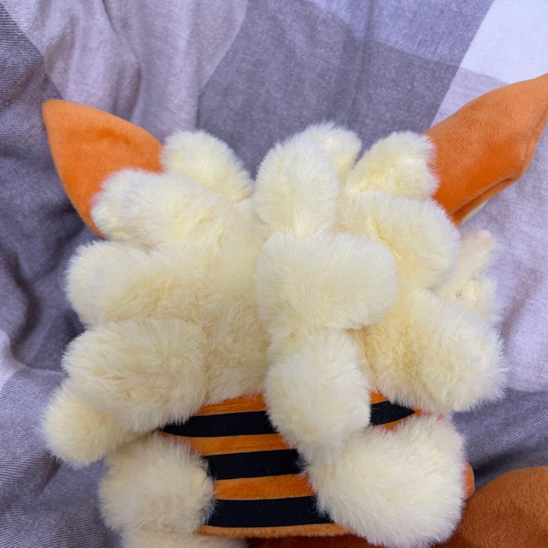 ウィンディポンチョのイーブイ　ノーマル　ぬいぐるみ　ポケモンセンター　沖縄　限定