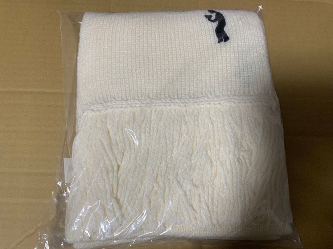 宮川大聖 グッズセット QUATTRO 宮川大聖 みやかわくん 写真 FC限定