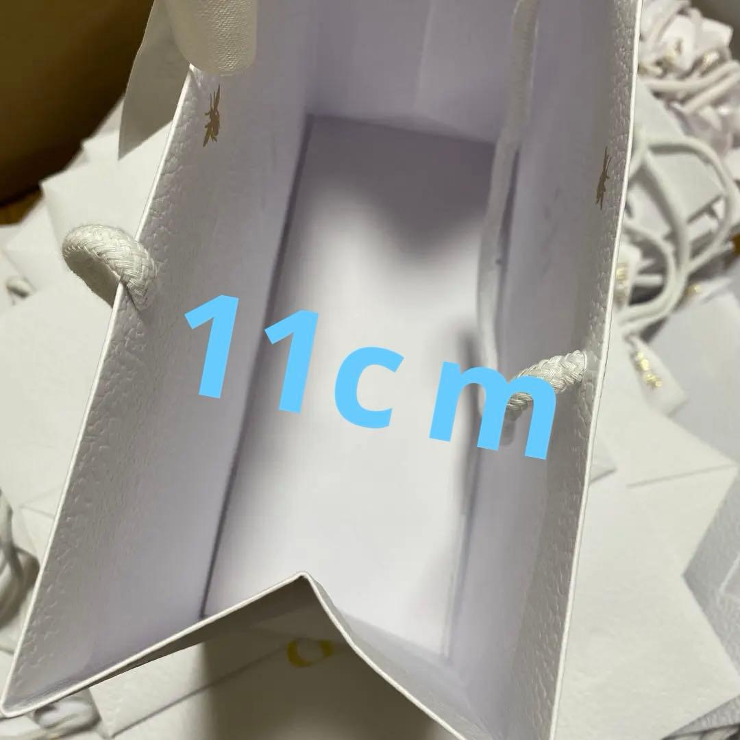 Dior ショップ袋 白 レザー調 ラッピング付き