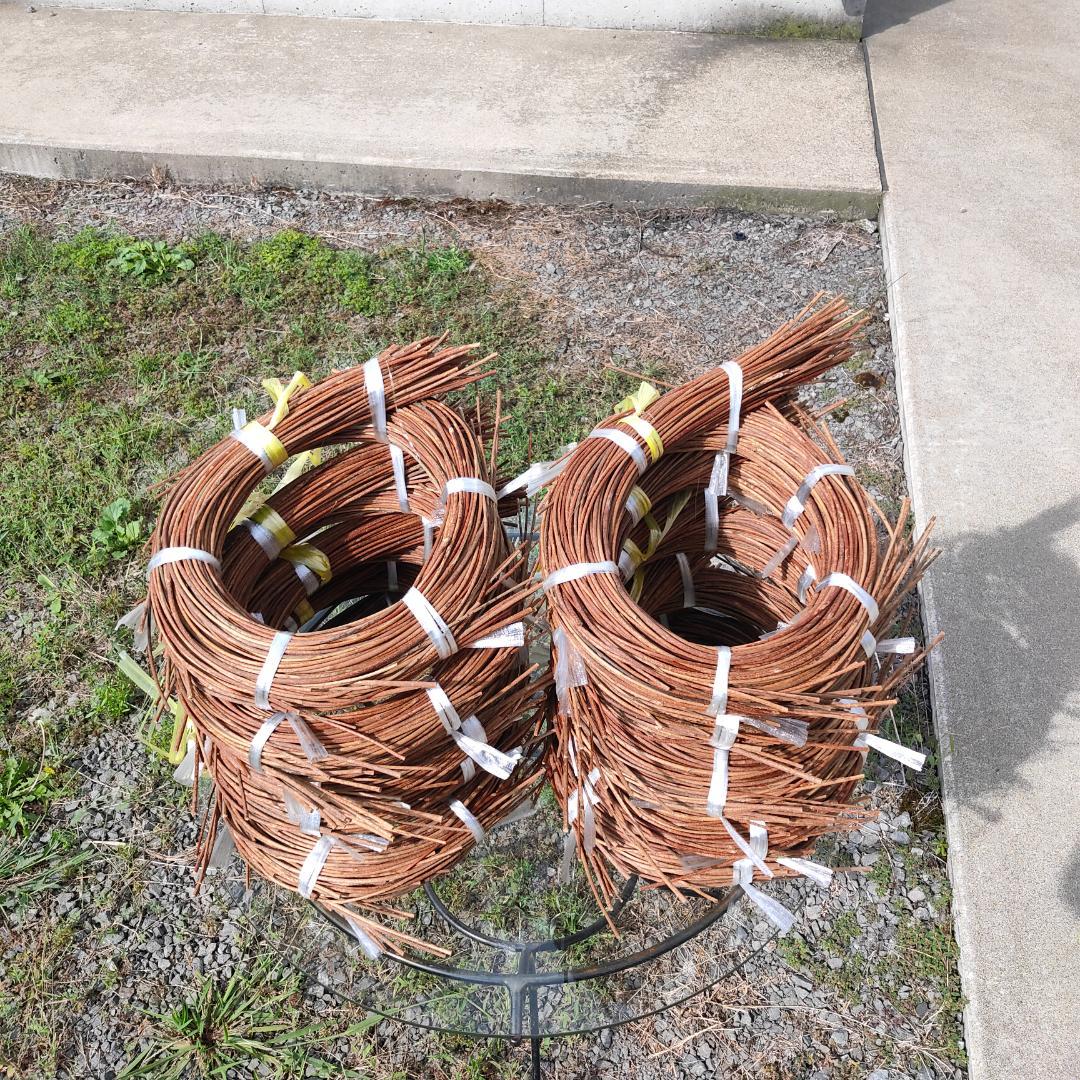 青森県岩木山採取　あけび蔓　70cm～150cm　5kg