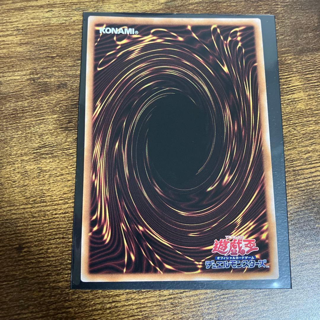 誇りと魂の龍　25th シークレット