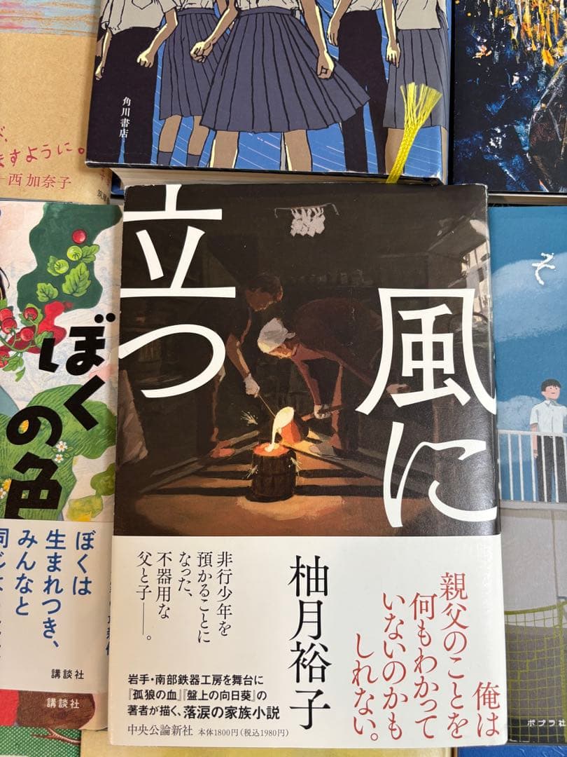 中学受験 国語対策用 出題頻出本 20冊セット