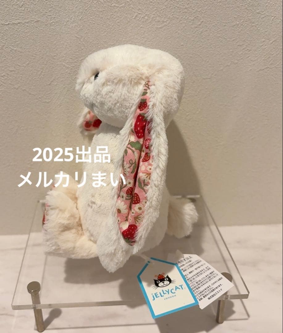  Blossom Cream Bunny 'Berry' （S）