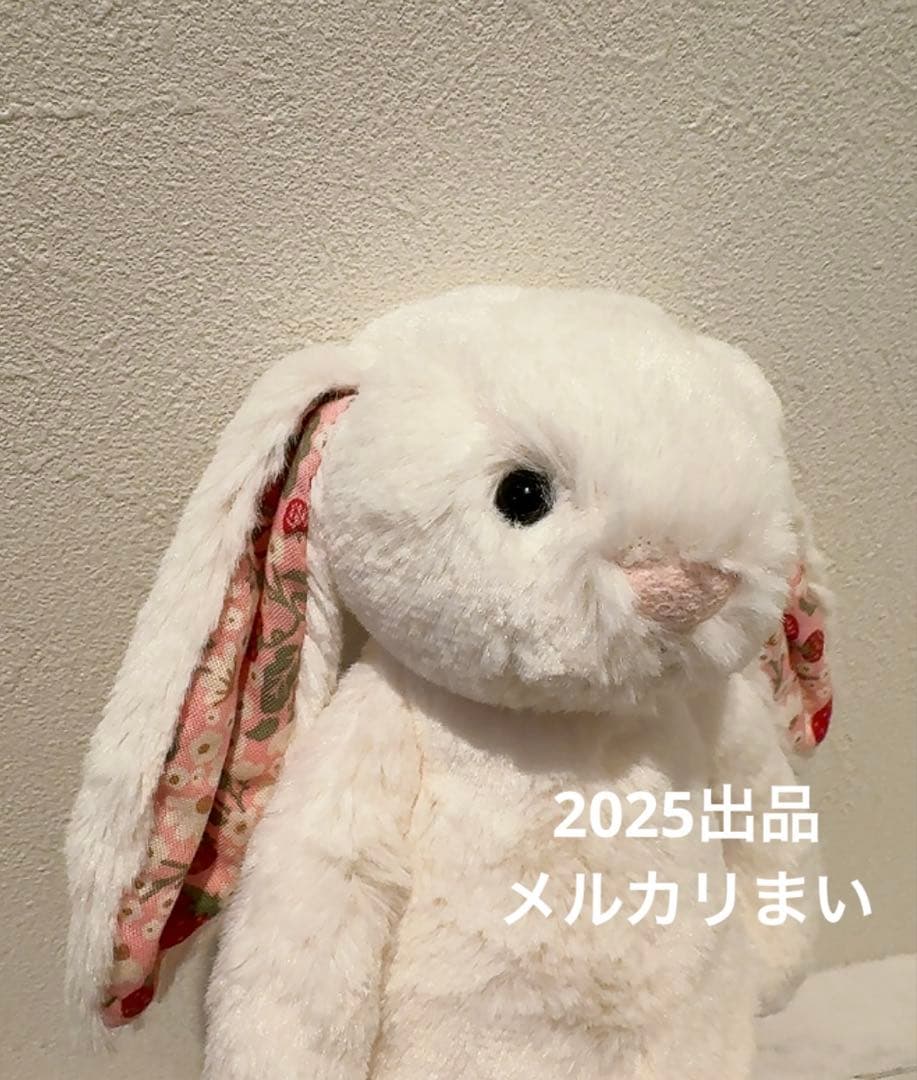  Blossom Cream Bunny 'Berry' （S）