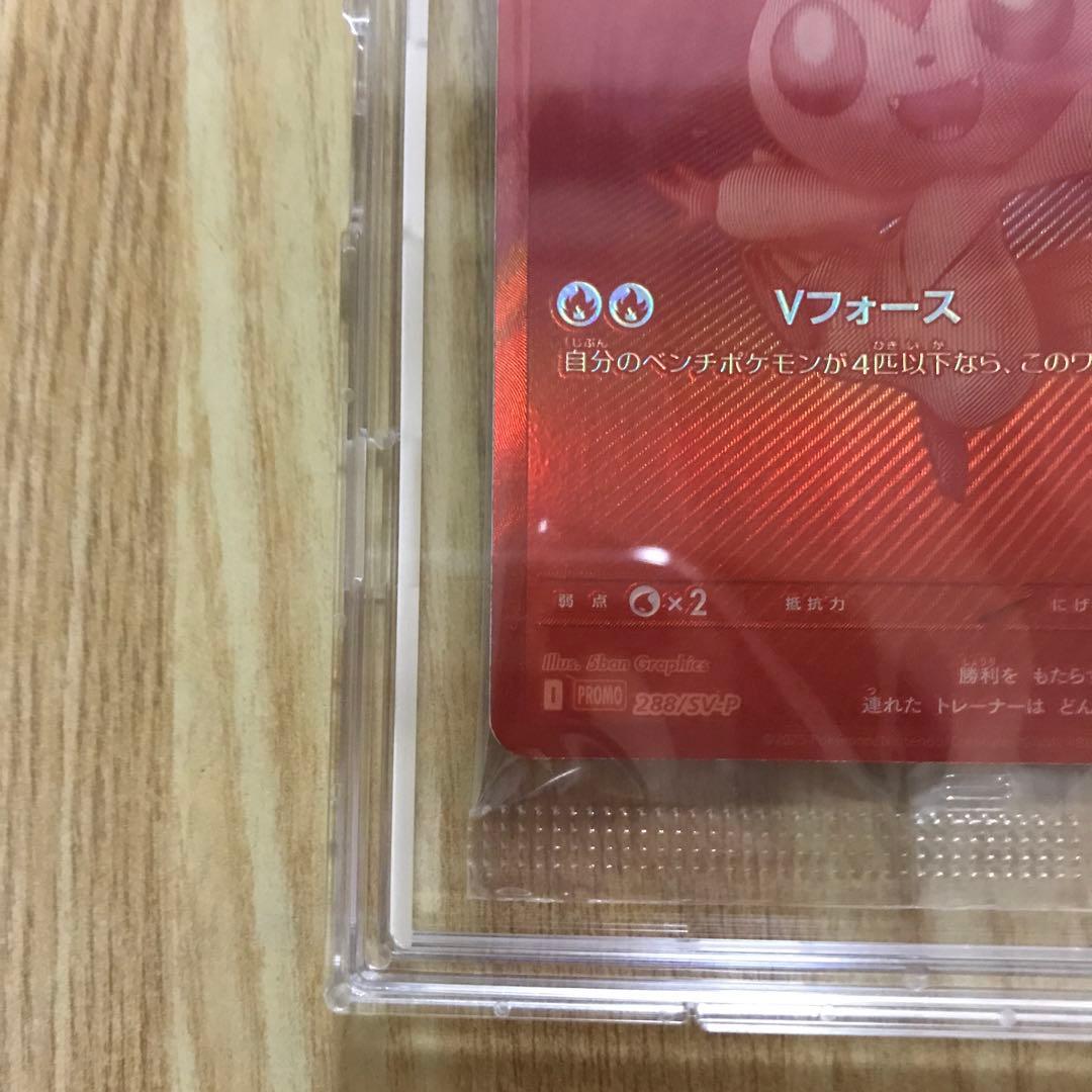 TCG Collector⚡️o'ᆺ'o