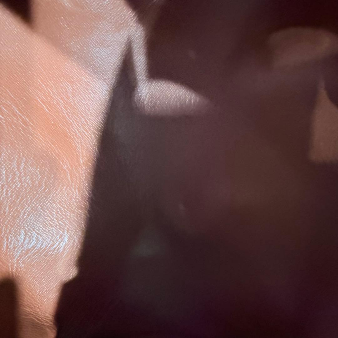 LOUIS VUITTON パピヨン26 ハンドバッグモノグラム