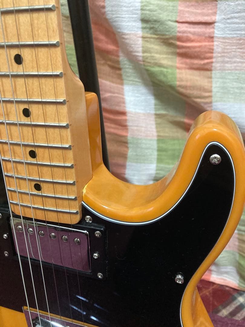 Tagima テレキャスタータイプ　TW-55