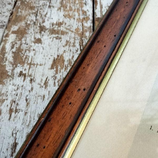 イタリア ヴィンテージ 大判 無垢 木枠 額装 アート パネル 大型 特大