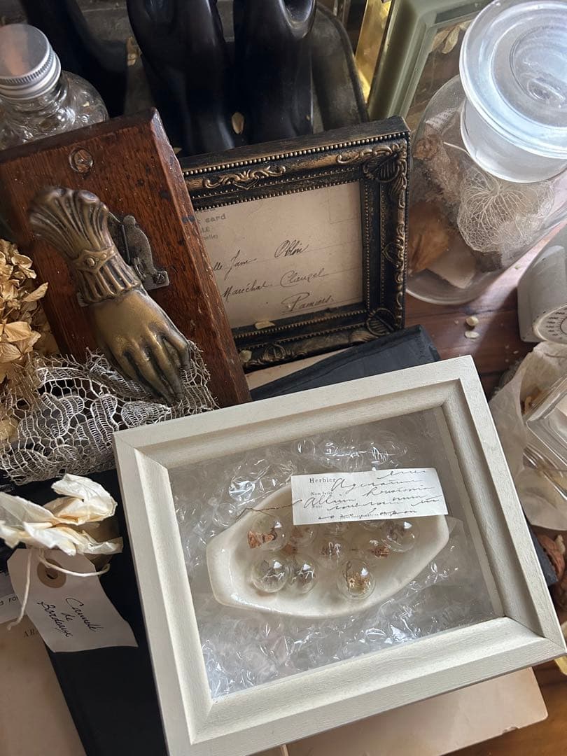 植物プレパラート 10種（顕微鏡標本セット） : 上野科学社Yahoo!SHOP