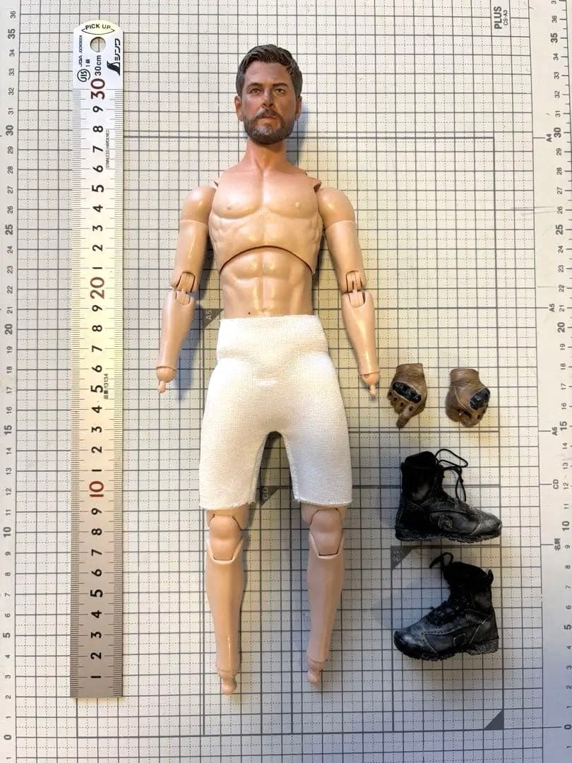 ミリタリーフィギュア damtoys 12インチ sfod カスタム