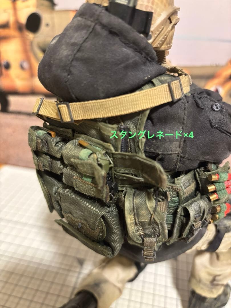 ミリタリーフィギュア damtoys 12インチ sfod カスタム