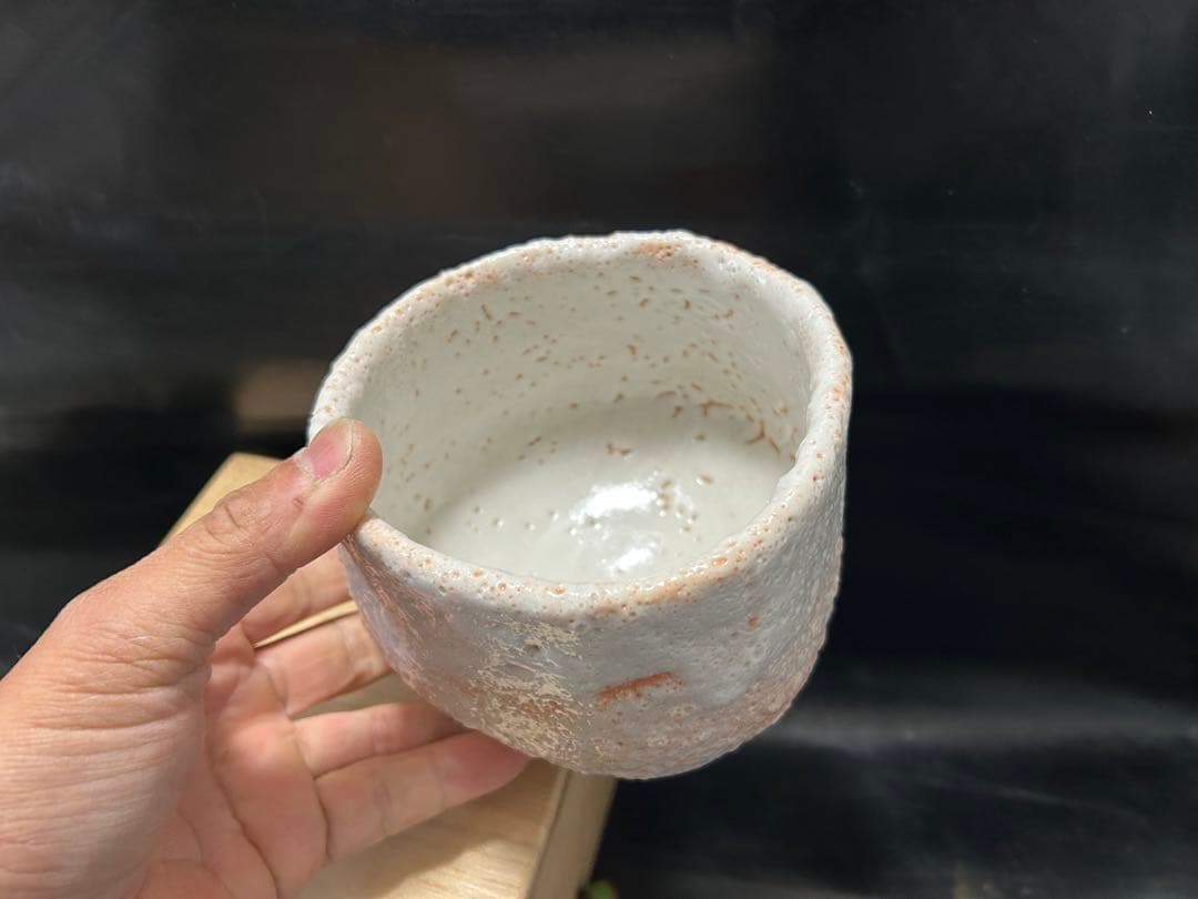 究極の美◾️蔵から桐箱に入った美しい蛇？が描かれた志野焼の抹茶茶碗