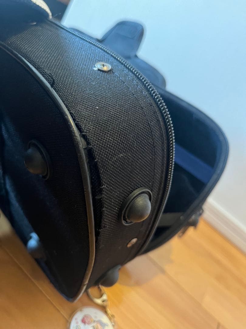 お値下げ⭐︎Eastman VL80 バイオリンセット　1/8