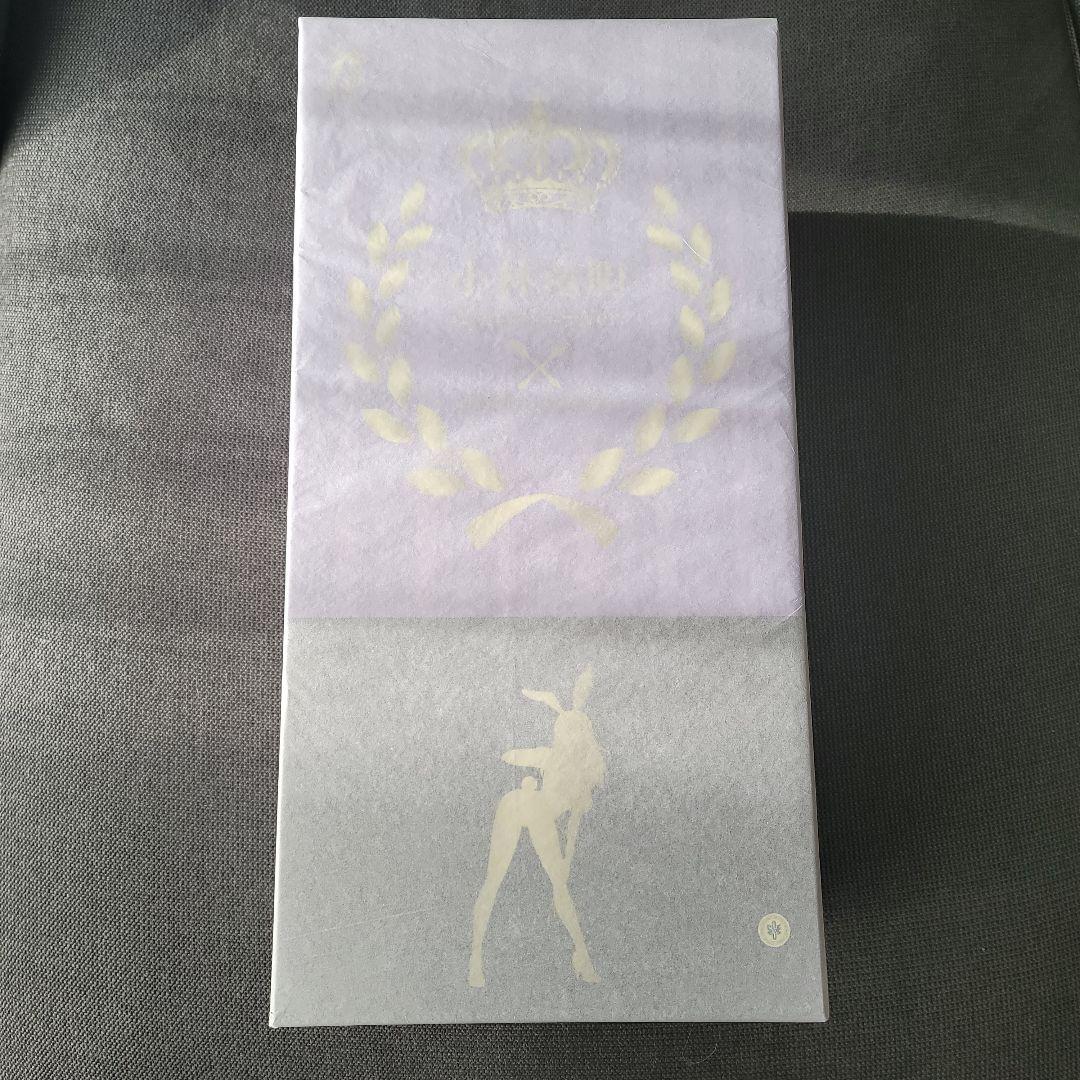 88RON WOOD&BO DIDDLEY ＋'93RON WOOD パンフ