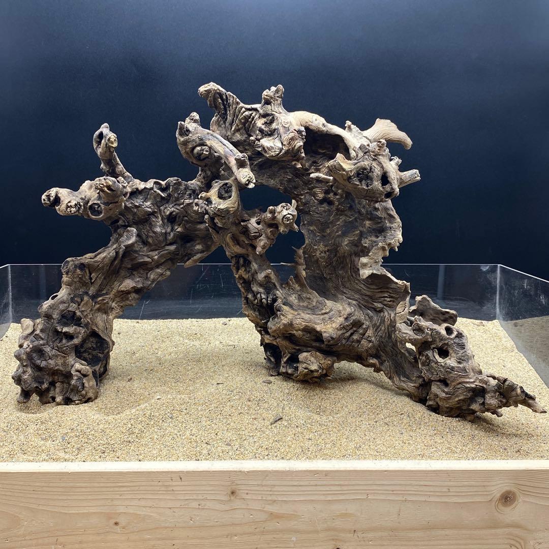 MJW-6618 ジンジャーウッド2本セット 天然流木 アクアリウム 爬虫類