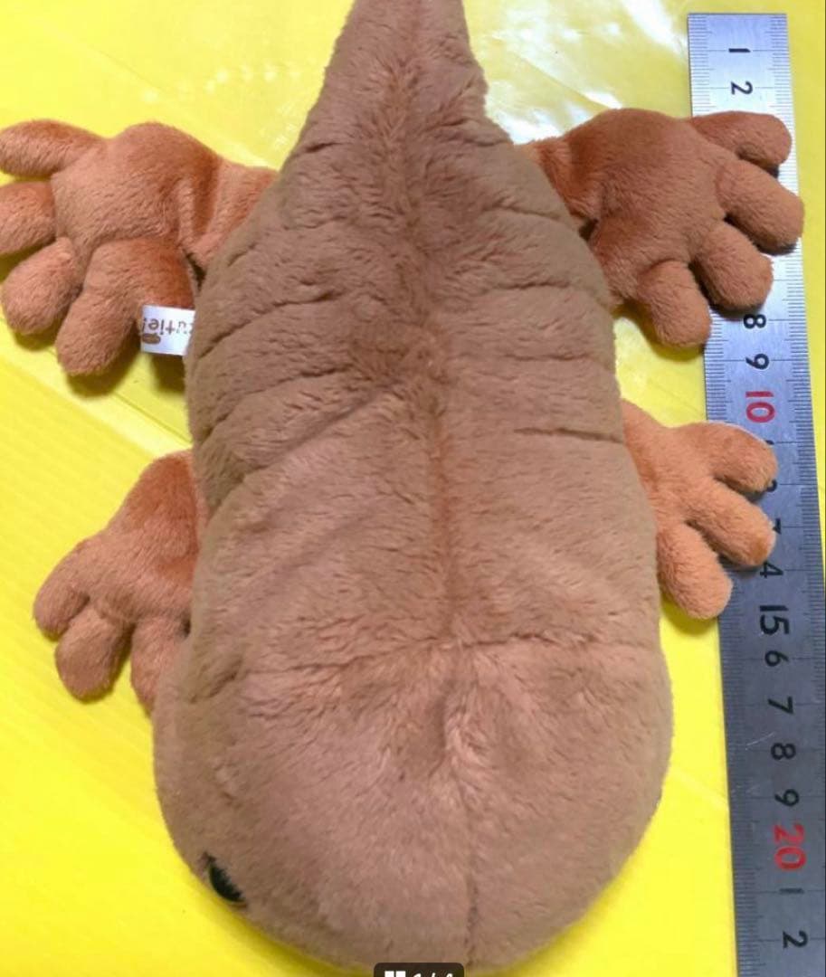 オオサンショウウオ　BIG 大約８５センチ　小約30センチ　小約20センチ