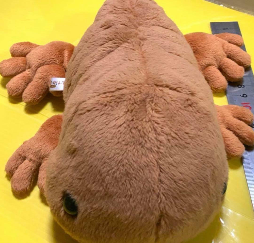 オオサンショウウオ　BIG 大約８５センチ　小約30センチ　小約20センチ