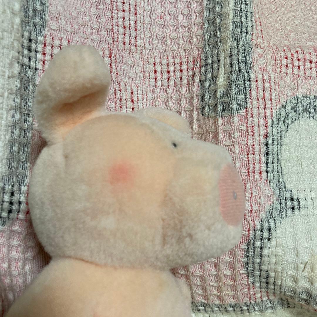 サンアロー　kipper ブタ　ぬいぐるみ　中古品