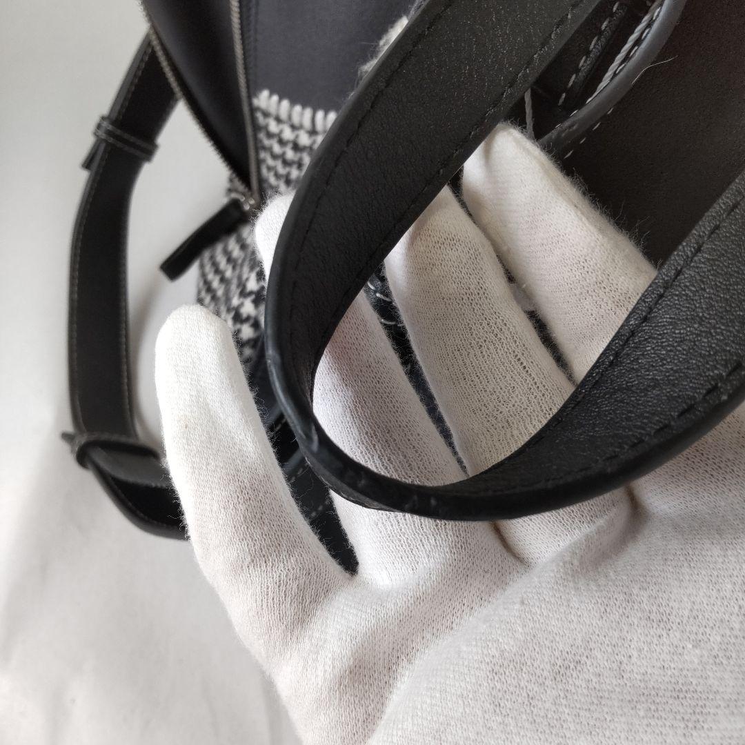 LOEWE ロエベ ハンモック 2way 限定カラー 希少