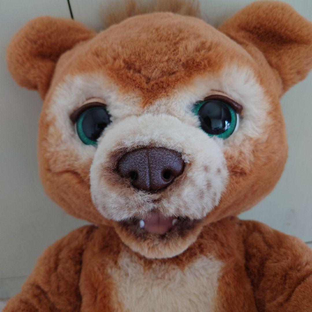 こぐまのカビー　ファーリアル